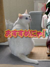 �C���[�W01